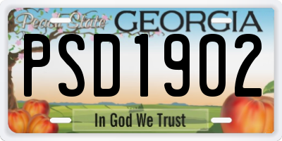 GA license plate PSD1902