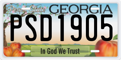 GA license plate PSD1905