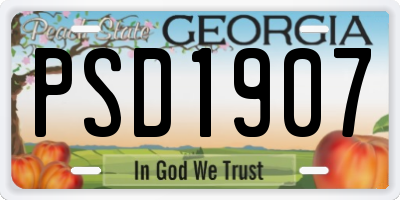 GA license plate PSD1907