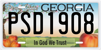 GA license plate PSD1908