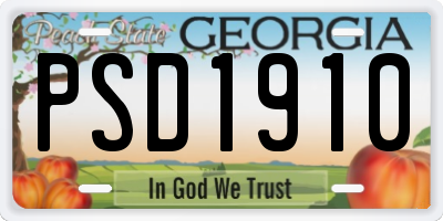 GA license plate PSD1910