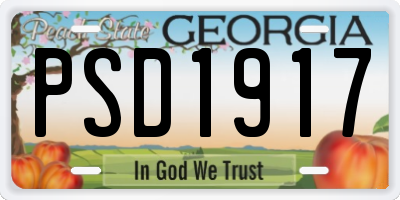 GA license plate PSD1917