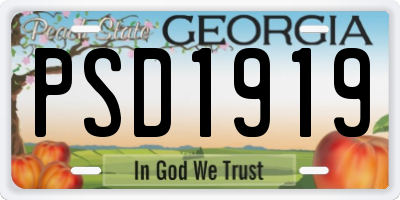 GA license plate PSD1919