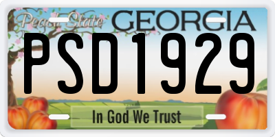 GA license plate PSD1929