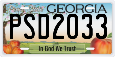 GA license plate PSD2033