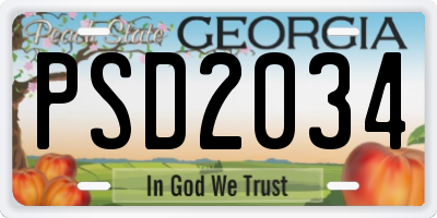 GA license plate PSD2034