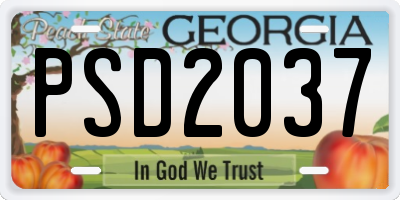 GA license plate PSD2037