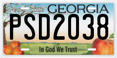 GA license plate PSD2038