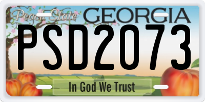 GA license plate PSD2073