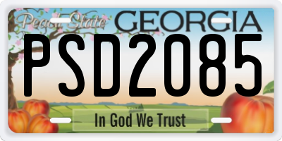 GA license plate PSD2085