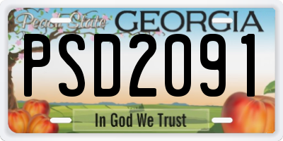 GA license plate PSD2091