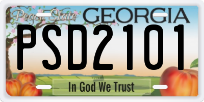 GA license plate PSD2101