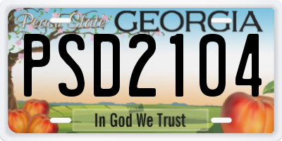 GA license plate PSD2104