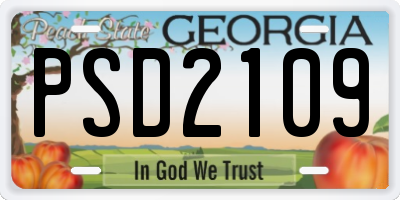 GA license plate PSD2109