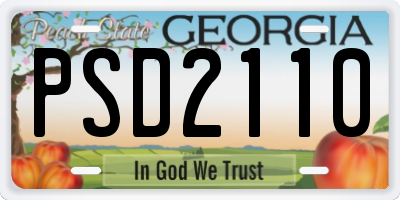 GA license plate PSD2110