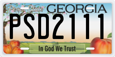 GA license plate PSD2111