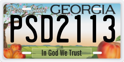 GA license plate PSD2113