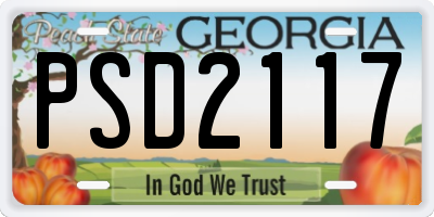 GA license plate PSD2117