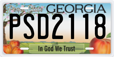 GA license plate PSD2118