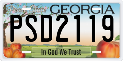 GA license plate PSD2119