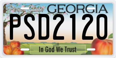 GA license plate PSD2120