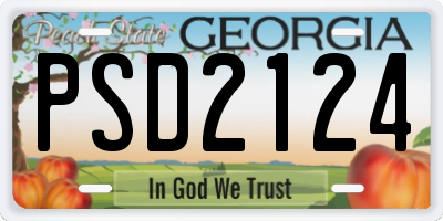 GA license plate PSD2124