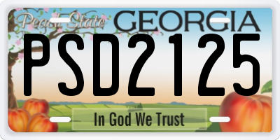 GA license plate PSD2125