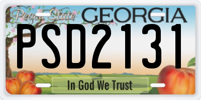 GA license plate PSD2131