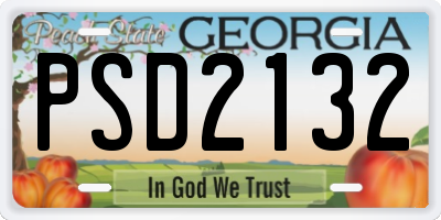 GA license plate PSD2132
