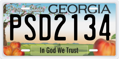 GA license plate PSD2134