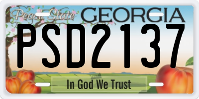 GA license plate PSD2137
