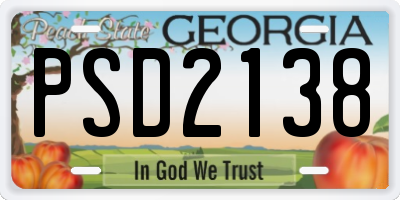 GA license plate PSD2138
