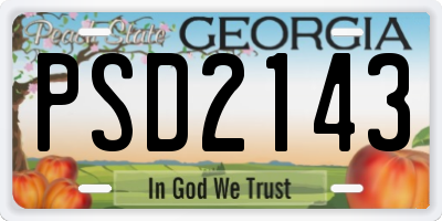 GA license plate PSD2143
