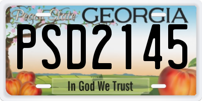 GA license plate PSD2145