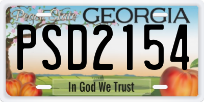 GA license plate PSD2154