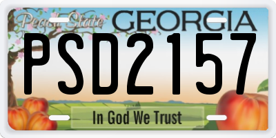 GA license plate PSD2157