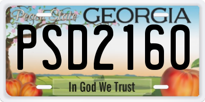 GA license plate PSD2160