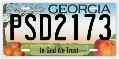 GA license plate PSD2173