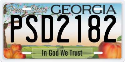 GA license plate PSD2182