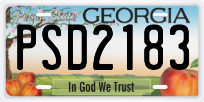 GA license plate PSD2183