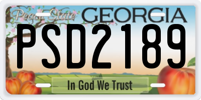 GA license plate PSD2189