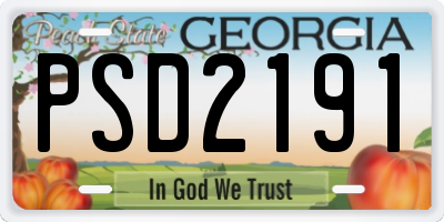 GA license plate PSD2191
