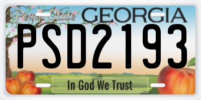 GA license plate PSD2193