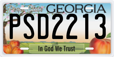 GA license plate PSD2213