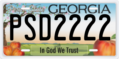 GA license plate PSD2222