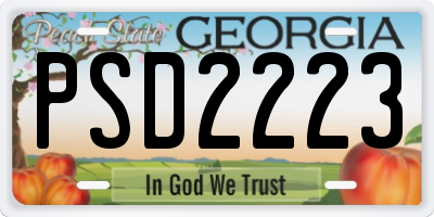 GA license plate PSD2223