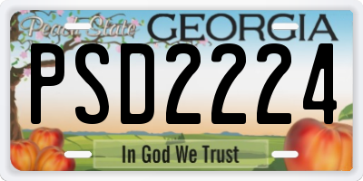 GA license plate PSD2224