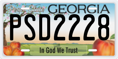 GA license plate PSD2228
