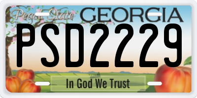 GA license plate PSD2229