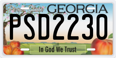 GA license plate PSD2230